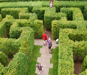 Maize at Hampton Court Castle