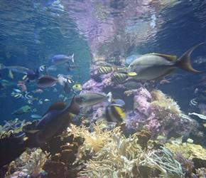 Afternoon trip to Cite de la Mer in Cherbourg