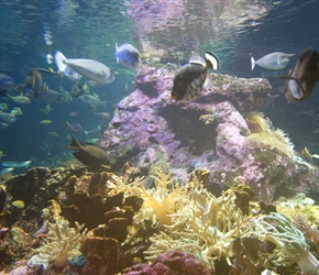 Afternoon trip to Cite de la Mer in Cherbourg