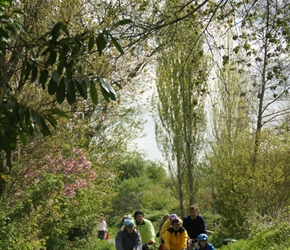 Starting out along the Norton Greenway