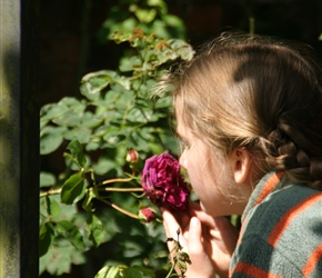 Louise checks out the roses at Alnwick Gardens