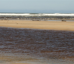 Louise and Sarah test the water at Alnmouth