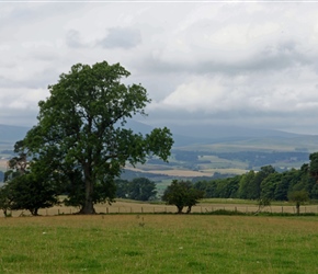 Northumberland Cheviots