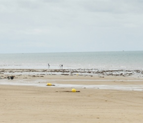 Tractors on Pirou Plage having delivered the fishing boats