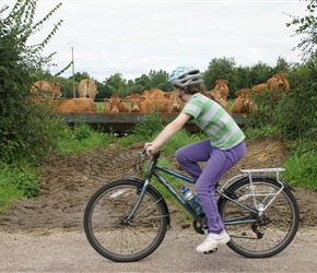 Louise checks out the inquisitive cows