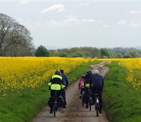 Jo and Matthew Wright who joined us and training to lead tours through rape fields