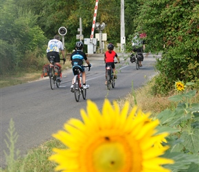 On the way to Pons and past the Sunflowers