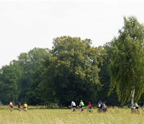 Peloton between Puggen and Jabel