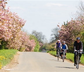 Alice, Ruby and Lester heads towards Rollright