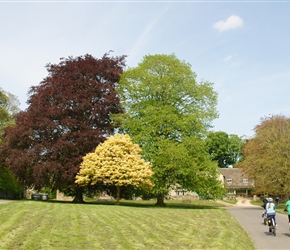 Louise and Kate pass Spring laden trees at Delly End