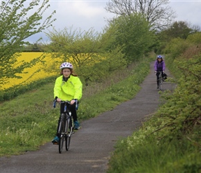 Alice along route 24 between Radstock and Mells