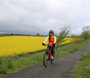 Ruby on Route 24 between Radstock and Mells