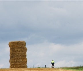 Penny towards the square bales