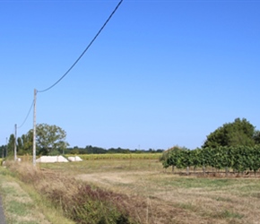 Past Windmill