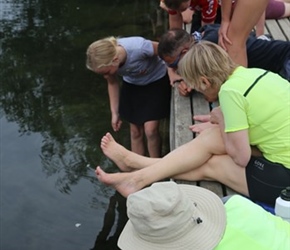 Searching for Crayfish in Charente River