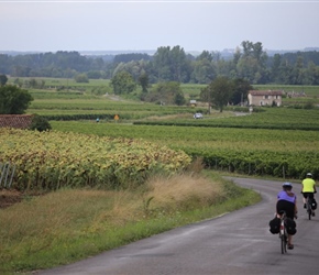 Countryside round Angeac