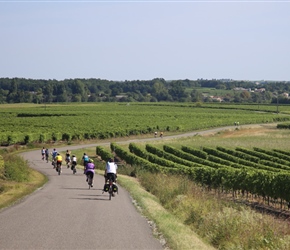 North from Jarnac