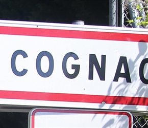 Into Cognac