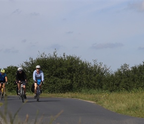 Bunch near Carentan