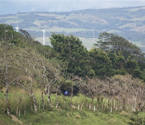 Descending from viewpoint