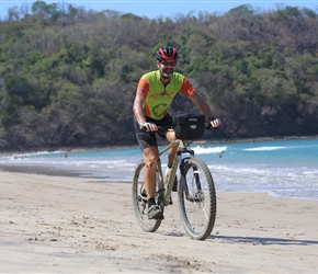 Robin on Conchal beach