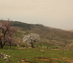 View west from the escarpment before Mount Nebo