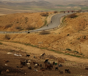 Continuing the descent after lunch towards the Dead Sea