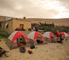 Our camping for the night. In amongst the Olive Trees