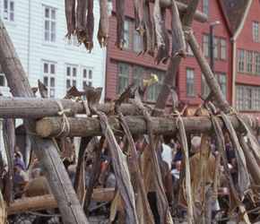 Fish drying in Bergen