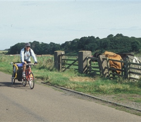 dave and that borrowed trailer head to Howick