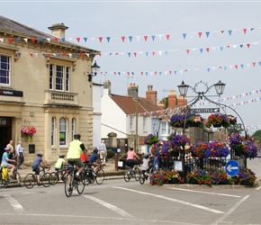 Floral Display