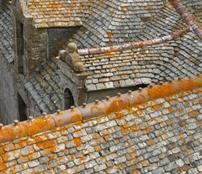 Rooves at Château fort de Pirou