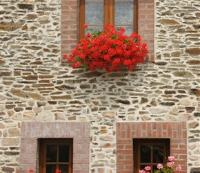 Flower boxes at La Fueille