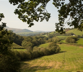 The road north from Llanbrynmair, starts wide, then narrows and narrows as it passes through farms undulating quite a lot with some stiff climbs