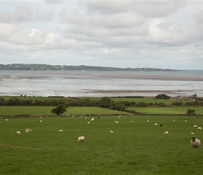 At Crymlyn, sustrans route 5, climbs away from the A55, giving views across the Menai Straits