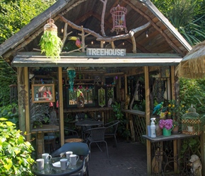 Quirky tearoom. After this Neil chased Robin and Willl back to Chester. The ladies took the train 'What's the cheapest ticket? asked Karen. "your bike" replied the station attendent. 