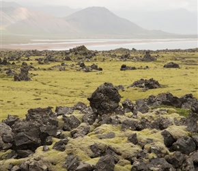 Heading through an old lava field