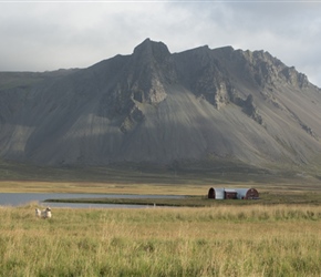 Setting out, the sn was shining, illuminating what a fabulous place this is. A pair of sheep and a lone tractor set of the mountain view which we had to our right 