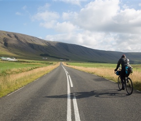 Rache along Kjósarskarðsvegur