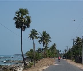 Fleur along the Coastal Road