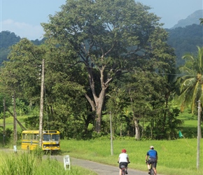 Linda and Robin approach a local bus on the B474