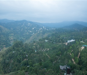 Ella from Little Adams Peak