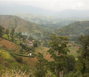 View east from the climb to Nuwara Eliya