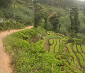 Karen traverses the lovely valley road