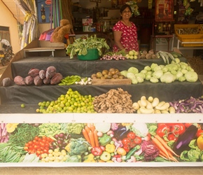 A array f vegetables for sale. This lady was charming. She spoke good English as we quaffed various ice creams and drinks from her fridge