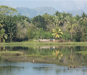 The canal would on occasion open to a larger area full of wildlife