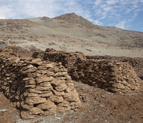 Dung drying in the sun