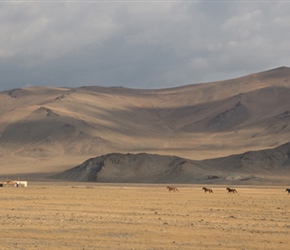 Neil set out in front. Horses started running from the right, quite a sight along the valley