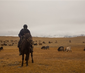 Whilst everyone had snacks at the coffee stop. I followed the shepherd and his flock across the open space. It was cold as his balaclava shows