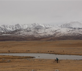 Fresh snow had fallen overnight giving a dusting to the mountains. Sharon passes on the track